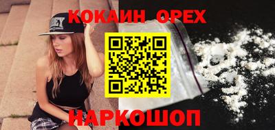 гашик Гудермес