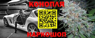 гашик Гудермес