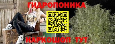 прущие грибы Гулькевичи