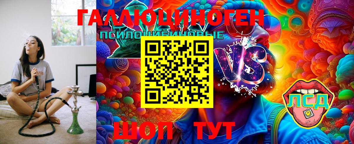 Галлюциногенные грибы Cubensis  Галлюциногенные грибы GOLDEN TEACHER  Артём  Вход с VPN 